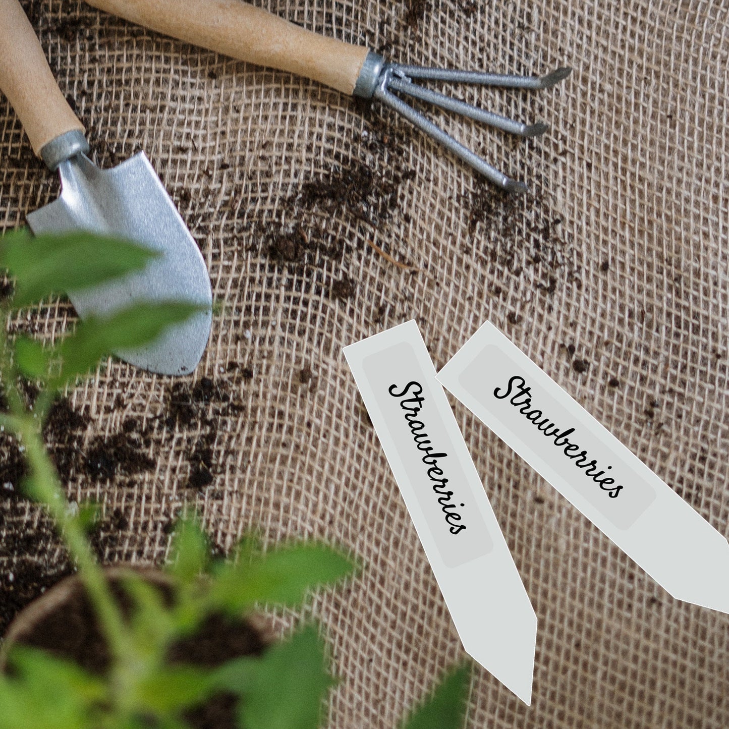 Garden Plant Tag Labels