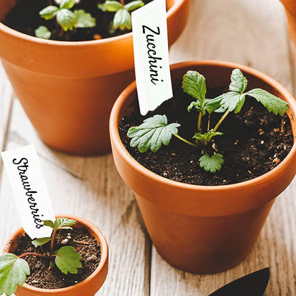 Funny Plant Tag Stickers